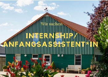 Lust auf ein Intership bei uns? Lust auf ein Intership bei uns?