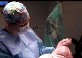 Kolik beim Pferd: Symptome und Behandlung Kolik beim Pferd: Symptome und Behandlung