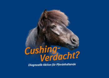 Kostenfreie Testaktion für Cushing/PPID